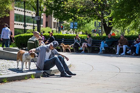 Dupont Circle Park