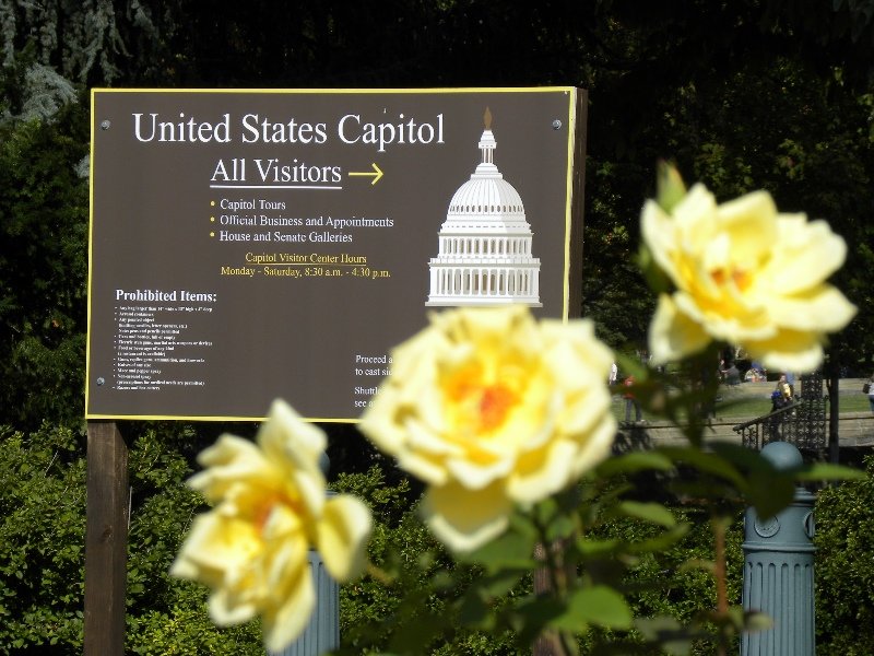 US Capitol