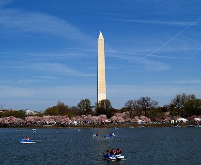 Tidal Basin Paddleboat Boats at the Jefferson Memorial - Washington DC