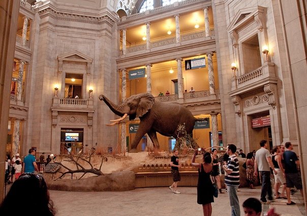 National Museum of Natural History - Washington DC